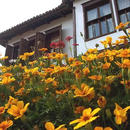Pachilov House Dom wakacyjny